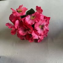 Hoa mùa xuân màu hồng