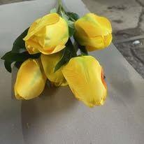 Hoa Tulip chùm to PG6627 màu vàng