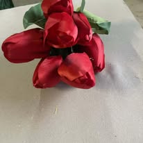 Hoa Tulip chùm to PG6627 màu đỏ