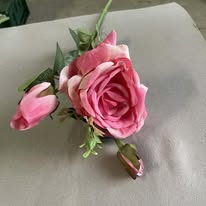 Hoa hồng 3 bông PG6726 màu hồng