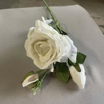 Hoa hồng 3 bông PG6726 màu trắng