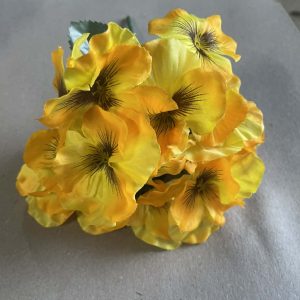 Hoa cành xuân màu vàng