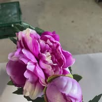 Hoa mẫu đơn màu tím PG7742