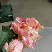 Hoa mẫu đơn màu hồng PG7742