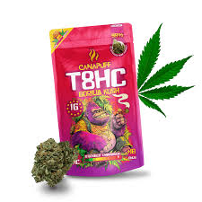 CANAPUFF Květy T8HC 99% - OG Gorilla Kush 1g