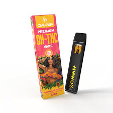 Canapuff - 9H-THC Vape - Permanent Marker 1ml