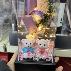 Hộp quà tặng gấu + đèn sáng