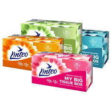 Linteo Papírové kapesníky 2-vrstvé, 200ks box