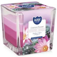 Bispol Aura Cactus Flower 6x170 g