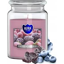 BISPOL-AURA Frozen Berries 6x500 g