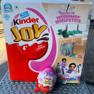 Kinder joy veterinary worldstoys x24ks