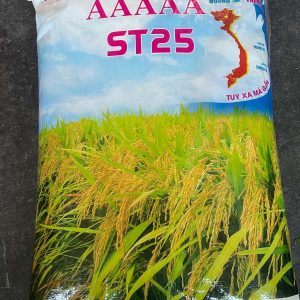 GAO ST25 (ban do VIET NAM) rýže 18kg